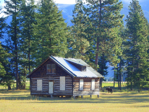 An old homestead stands in a field.